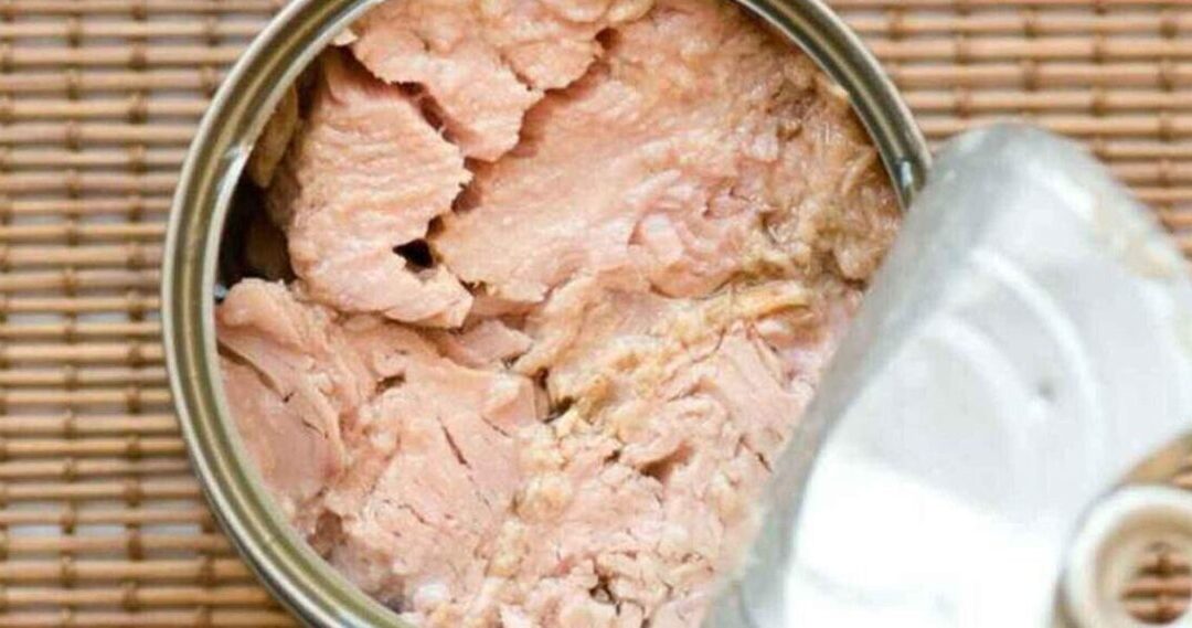 How is the autoclave adjusted to sterilize the tuna?
